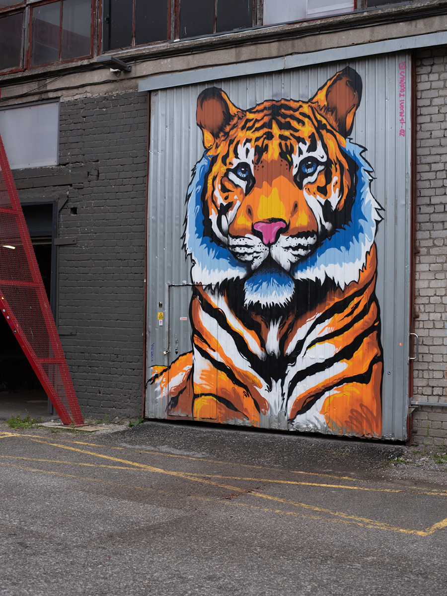 Buntes Tiger-Graffiti auf einem Tor in der Telliskivi Creative City in Tallinn
