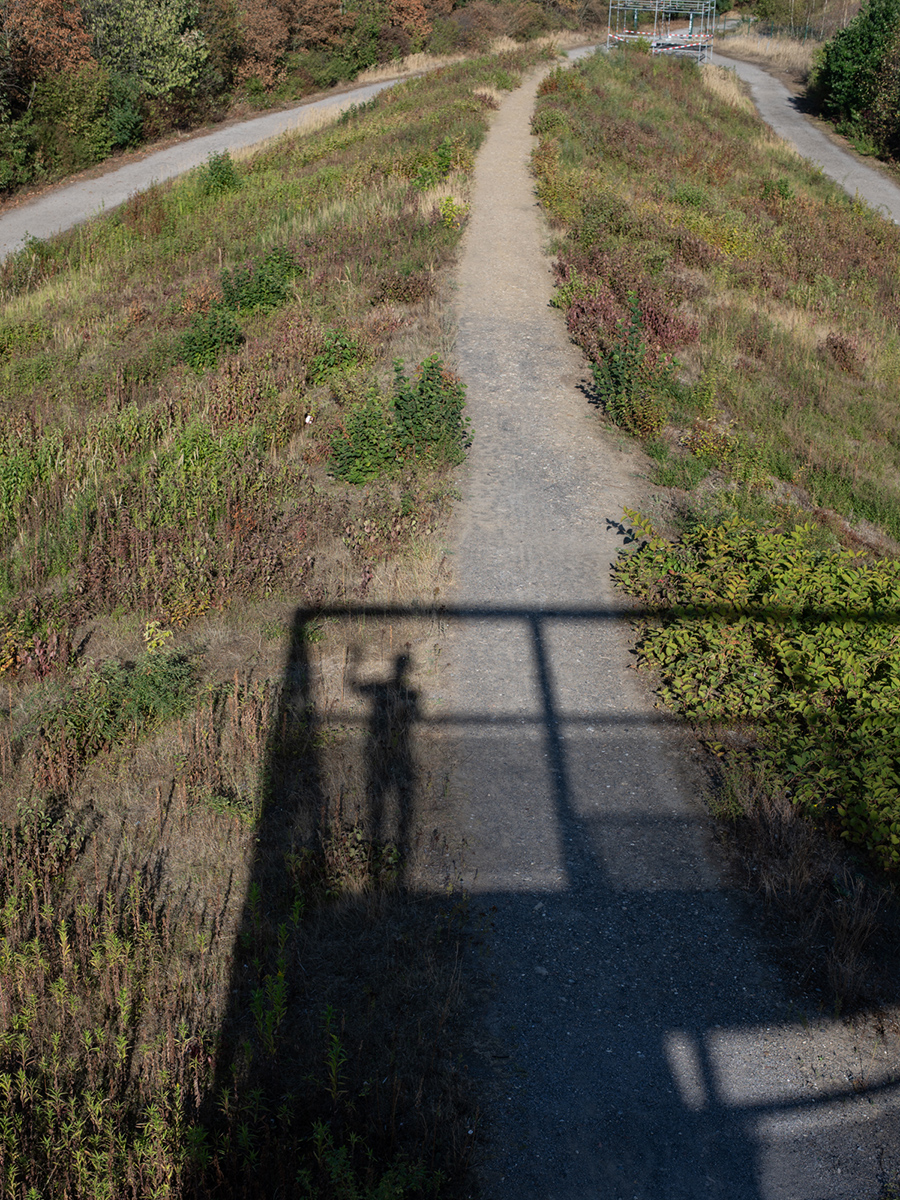 Weg und Treppe auf der Halde Hoheward in Herten