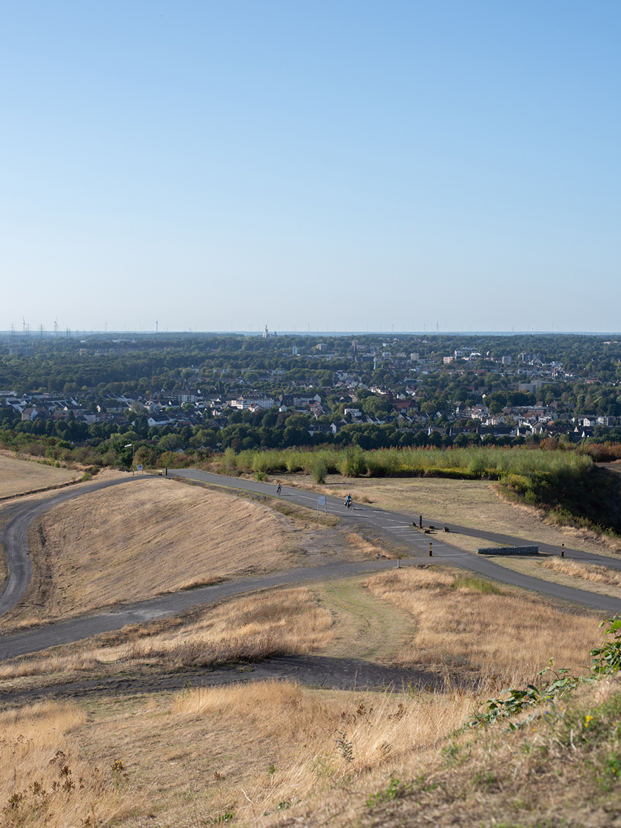 Blick über Wege und Erdhügel auf der Halde Hoheward in Herten