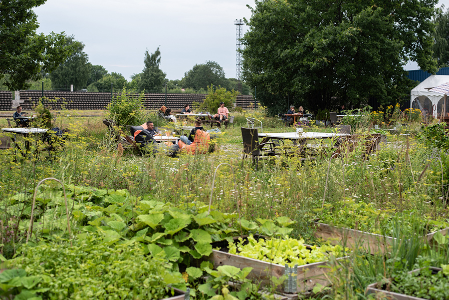 Gemüsegarten von The Kurze in Tallinn mit Beeten und Sitzplätzen im Hintergrund