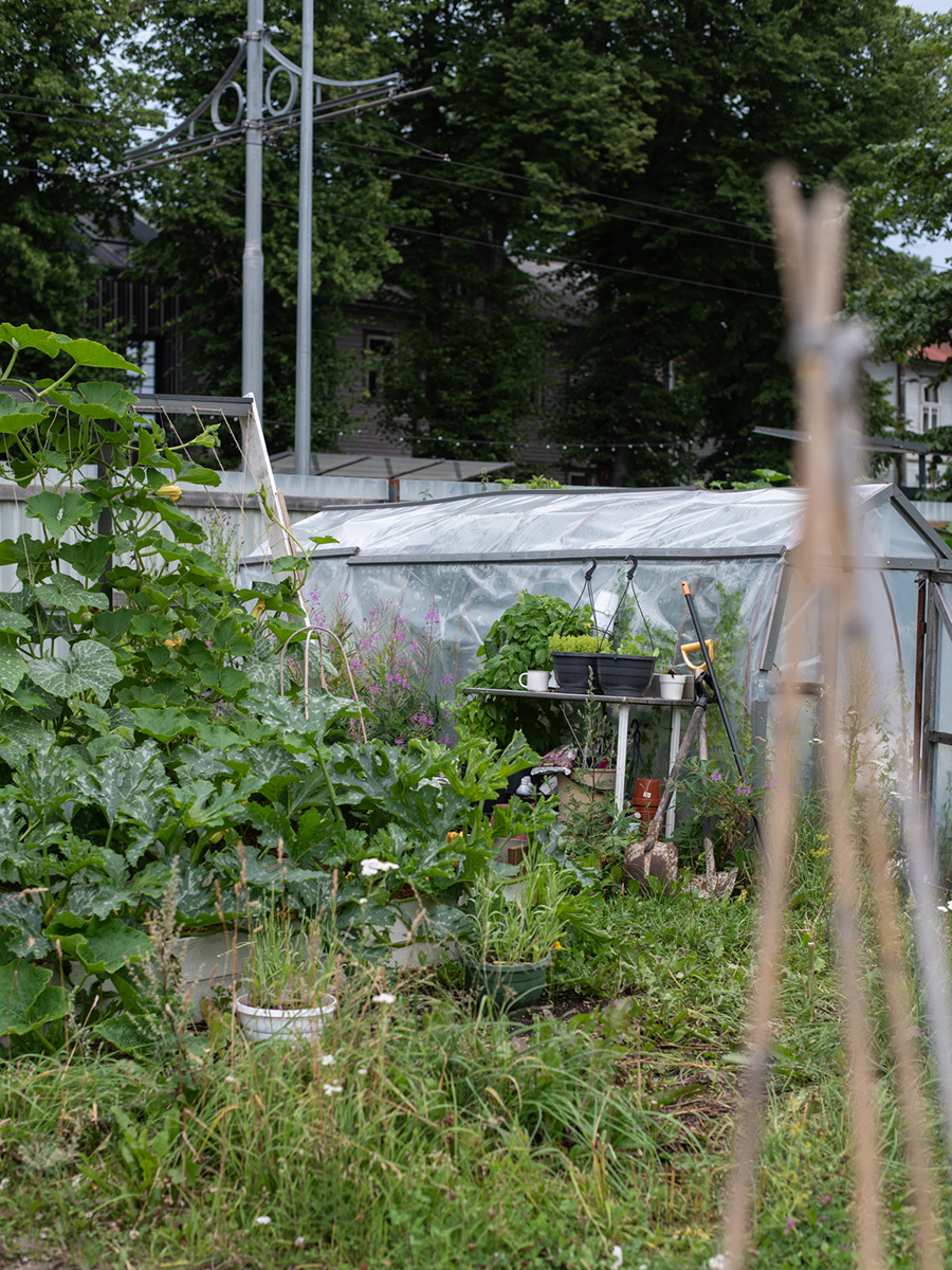 Gemüsegarten auf dem Gelände des Restaurants The Kurze in Tallinn